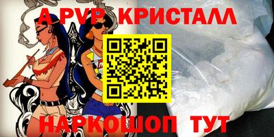 мдпв Кингисепп