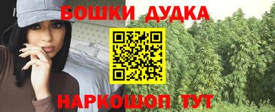 мдпв Кингисепп