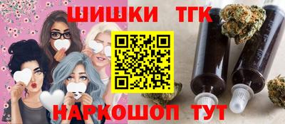 мдпв Кингисепп