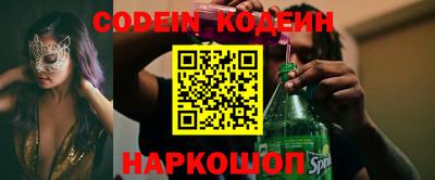мдпв Кингисепп
