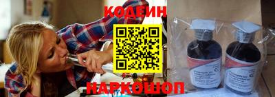 мдпв Кингисепп