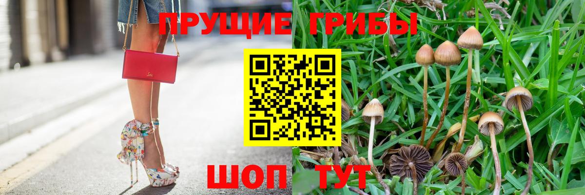 Галлюциногенные грибы Psilocybine cubensis  Вход с VPN  где купить наркотик  Алапаевск  Псилоцибиновые грибы Psilocybine cubensis 